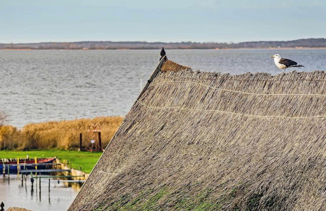 Aquarius Ferienwohnungen Usedom - Foto 18