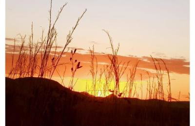 Villa Ágape - Chapada dos Veadeiros - Foto 78