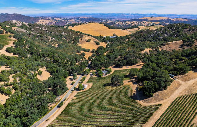 Luxury Wine Country Haven + Vineyard Views Near Top Wineries Adelaida Farmhouse - Foto 53