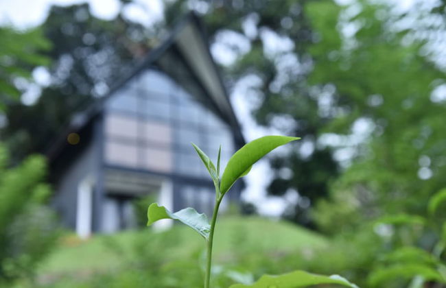 The Country House - Foto 27