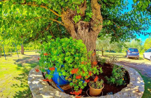 Studio Apartment Gianni - Foto 22