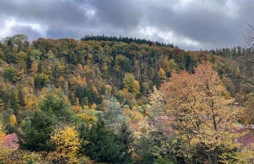 kleines Harz-Chalet - Foto 15
