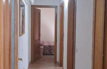 Il rosmarino - Foto 8