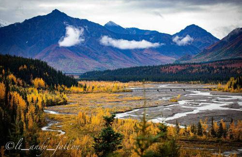 Northern Lights Log House w/ Sauna - Foto 38