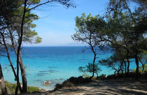 Phoenix Studios by Tania - Foto 25