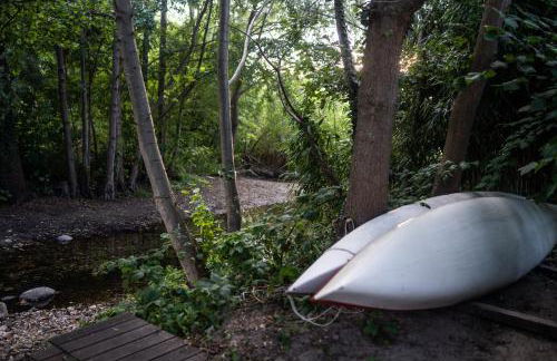 Ferienwohnungen am Schwanensee - Foto 19