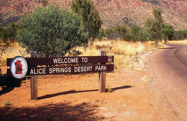Tour "A Town like Alice" y Alice Springs Desert Park de día completo - Foto 8