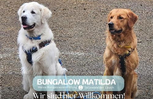 Bungalow Matilda - Foto 10