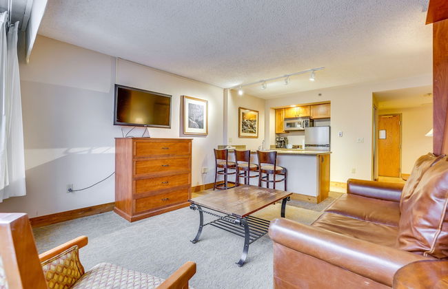 Crested Butte Studio with Community Hot Tub and Pool! - Foto 6