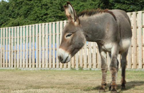 Waterside Lodges Cambridge - Foto 7