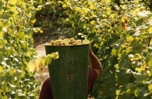 Appartement Familie Ernst - Foto 10