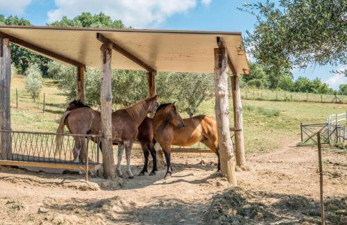 Agriturismo Goccia di Luna - Foto 12