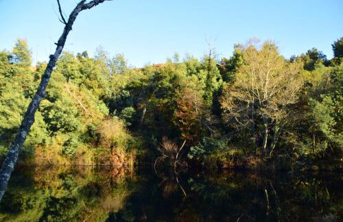 Quinta do Rio Alva and Glamping Lodges - Foto 65