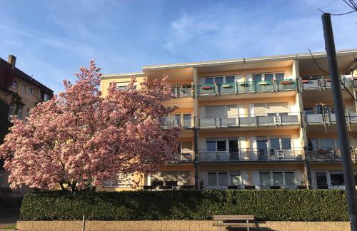 Stadtferienwohnung - Foto 3