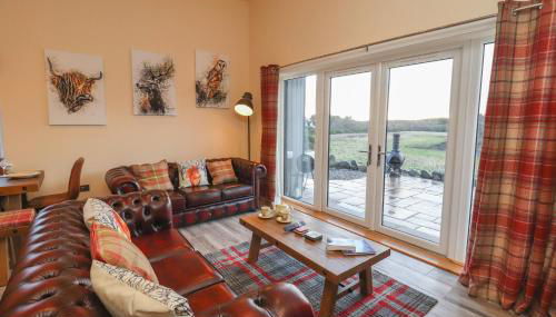 Red Squirrel - Foto 4