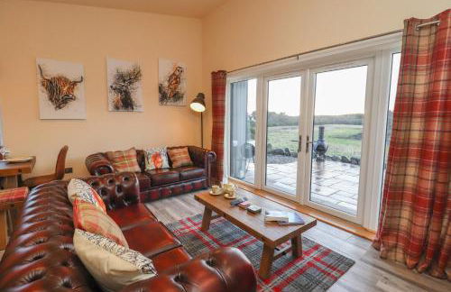 Red Squirrel - Foto 6