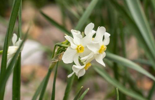 Agriturismo Pozzo Fiorito - Foto 57