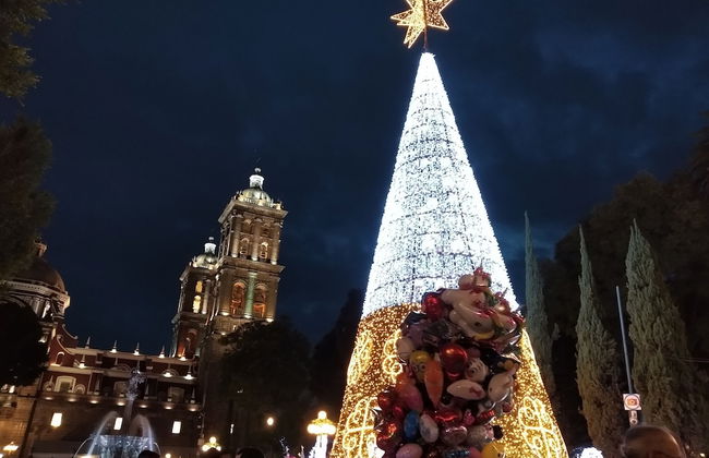 Suites La Concordia - Photo 74