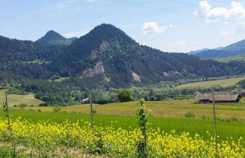 Domek/apartament Przekop - Foto 25