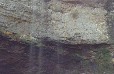 The Bird House near Fall Creek Falls State Park - Foto 45