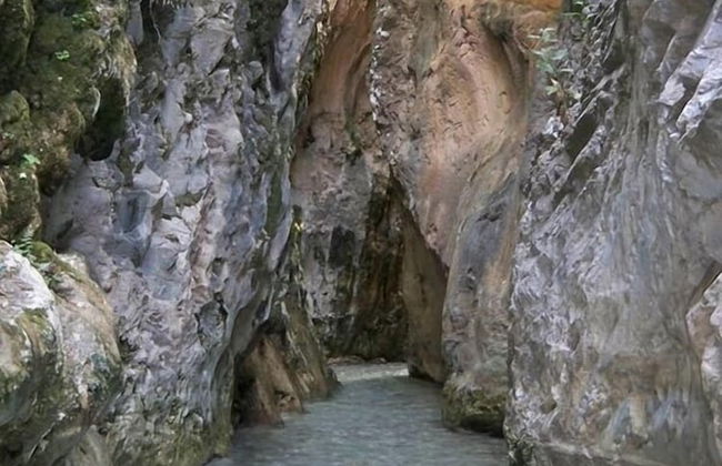 Apartamentos Playamaro - Foto 104