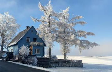 Ferienhaus VILLA ZAUBERBLICK am Rennsteig Frankenwald FREISTEHEND naturnah HUNDEFREUNDLICH eingezäunt - Foto 33