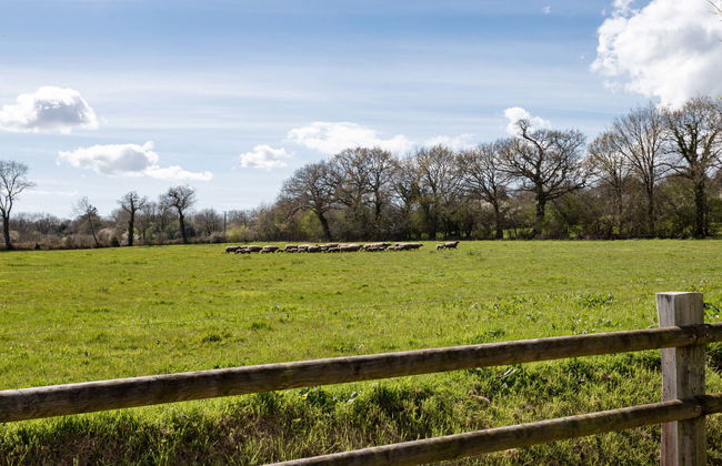 La Bergerie - Foto 11