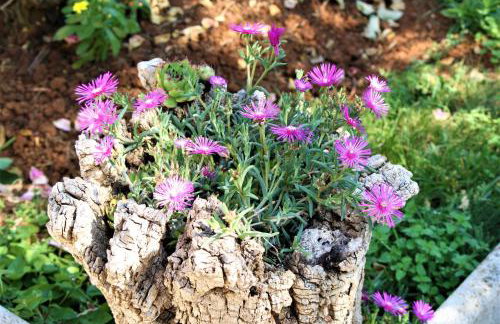 Holiday Home Magnolia - Photo 26