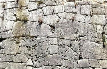 Le Contrade - Foto 17