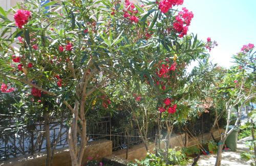 Apartments Ivan Sea View in Peaceful Lun - Photo 62