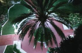 Puerto Paraiso Estepona port - Photo 51