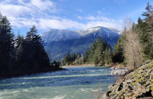 Rooftop Paradise Luxe 2BR Lake Views - Photo 56