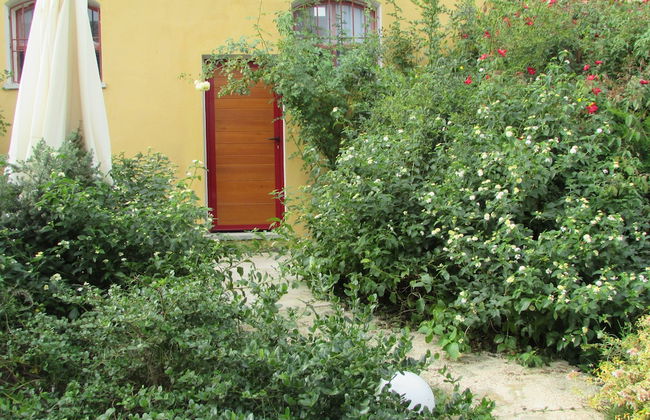 Cavalli di S'Arcaite - Foto 45