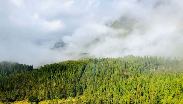 Tour in Réunion - Foto 3