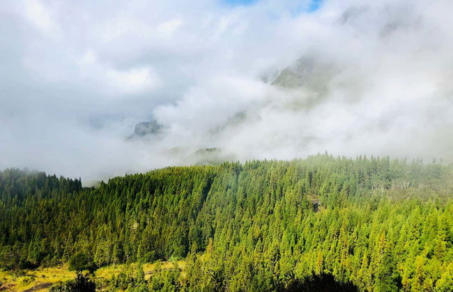 Tour in Réunion - Foto 3