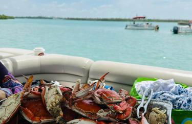 Beautiful Paradise for You - Foto 53