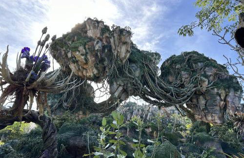 217 Legacy Park - Foto 88