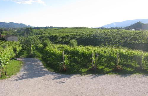 La Casa Vecchia - Foto 59