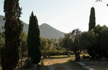 Résidence Spelonca - Foto 5