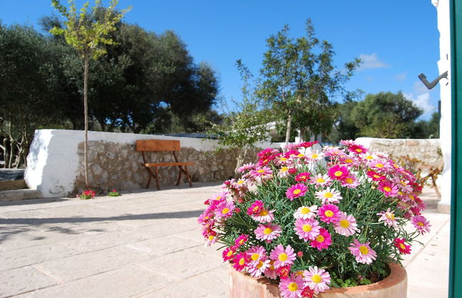 Agroturismo Biniati Des Pi - Photo 41