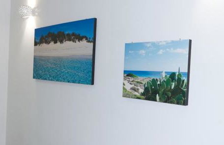 A due passi da Lecce - Le Radici del Sud - Photo 17