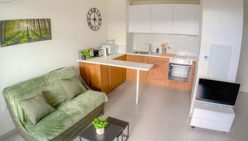 T2 Coeur de Ville Montpellier Proche Port Marianne - Foto 2, stove, heating, toaster