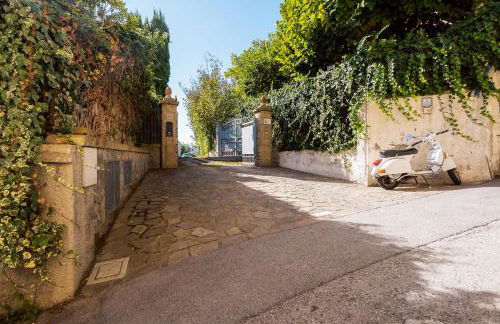 Albero di Giada - Foto 40