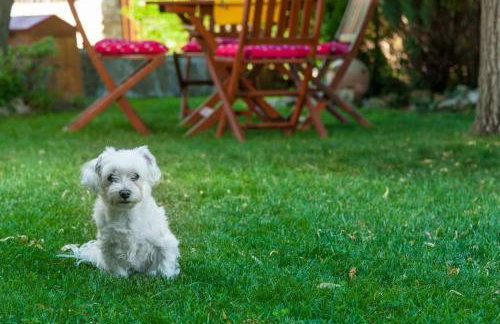 Amazing Villa In Slime, rest for mind, body and soul - Nature, garden and outside swimming pool - Foto 55