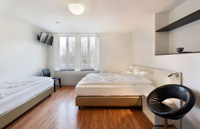 Swiss Star California - Foto 13