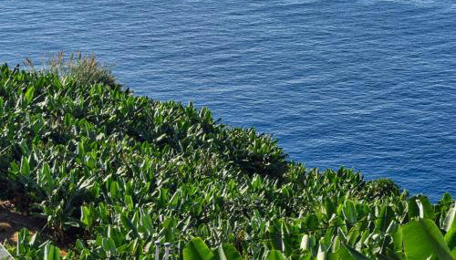 Vista Mar, a Home in Madeira - Foto 4