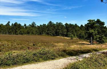 Lütt Heidjer Hus - Foto 23