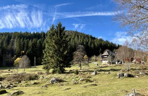 Apartment Bienek by Interhome - Foto 8