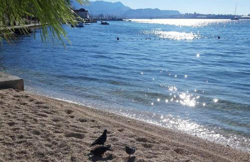 Apartments K-residence - Photo 43