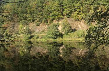 Eifelbrise - Foto 11